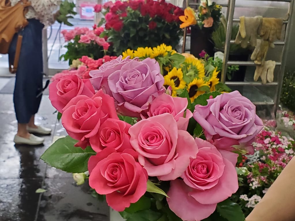 たくさんの薔薇