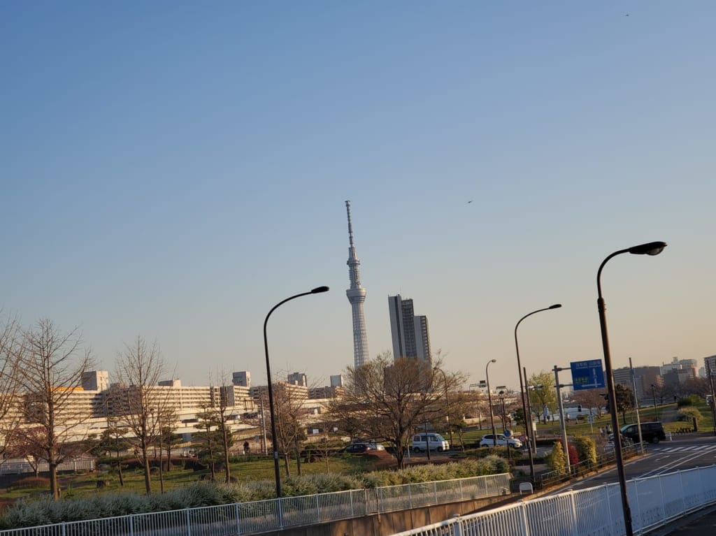 汐入公園からみた東京スカイツリー