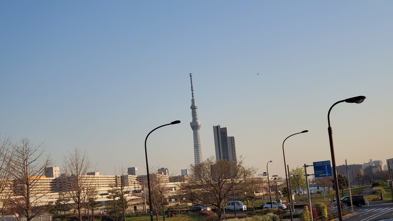 汐入公園からみた東京スカイツリー