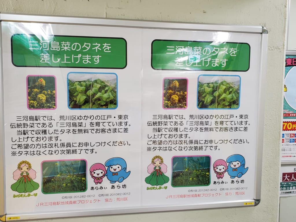 三河島菜のポスター