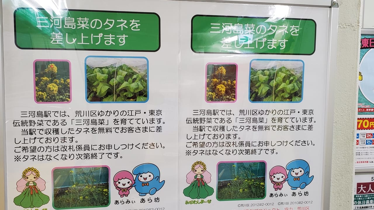 三河島菜のポスター