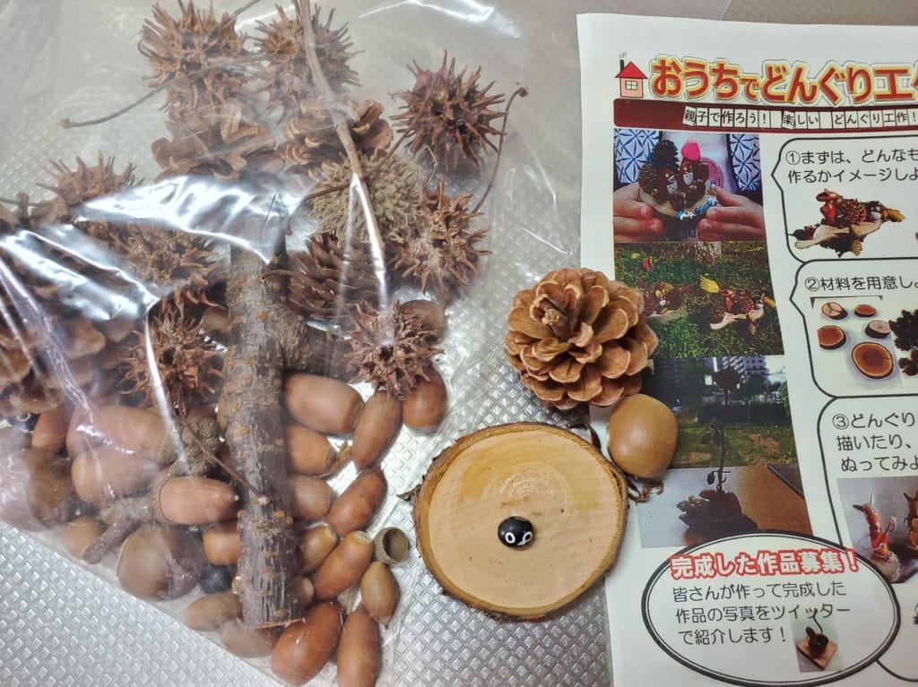 どんぐりセット