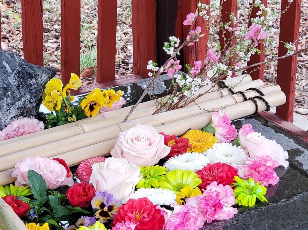 胡録神社の花手水舍