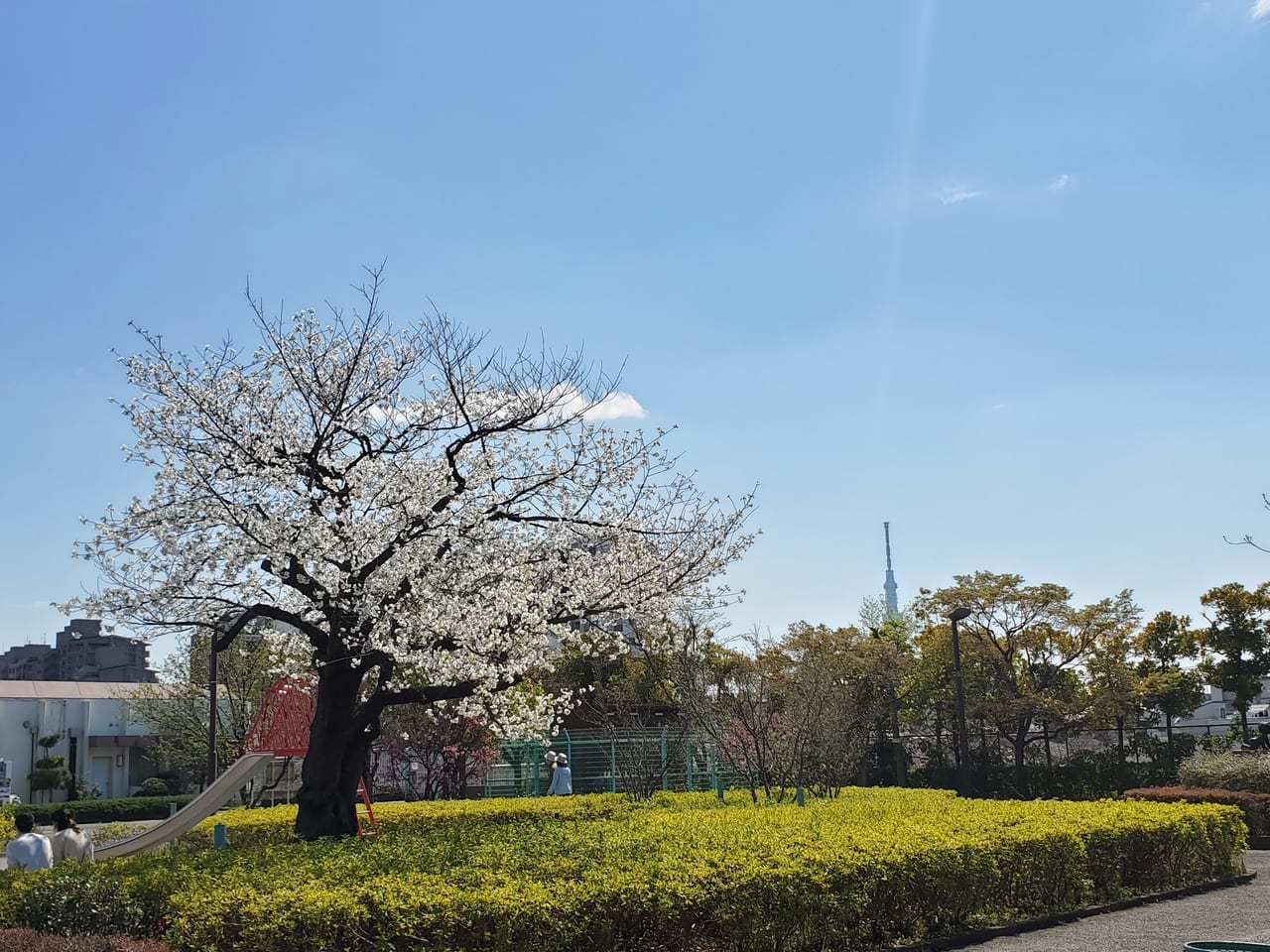 荒川自然公園