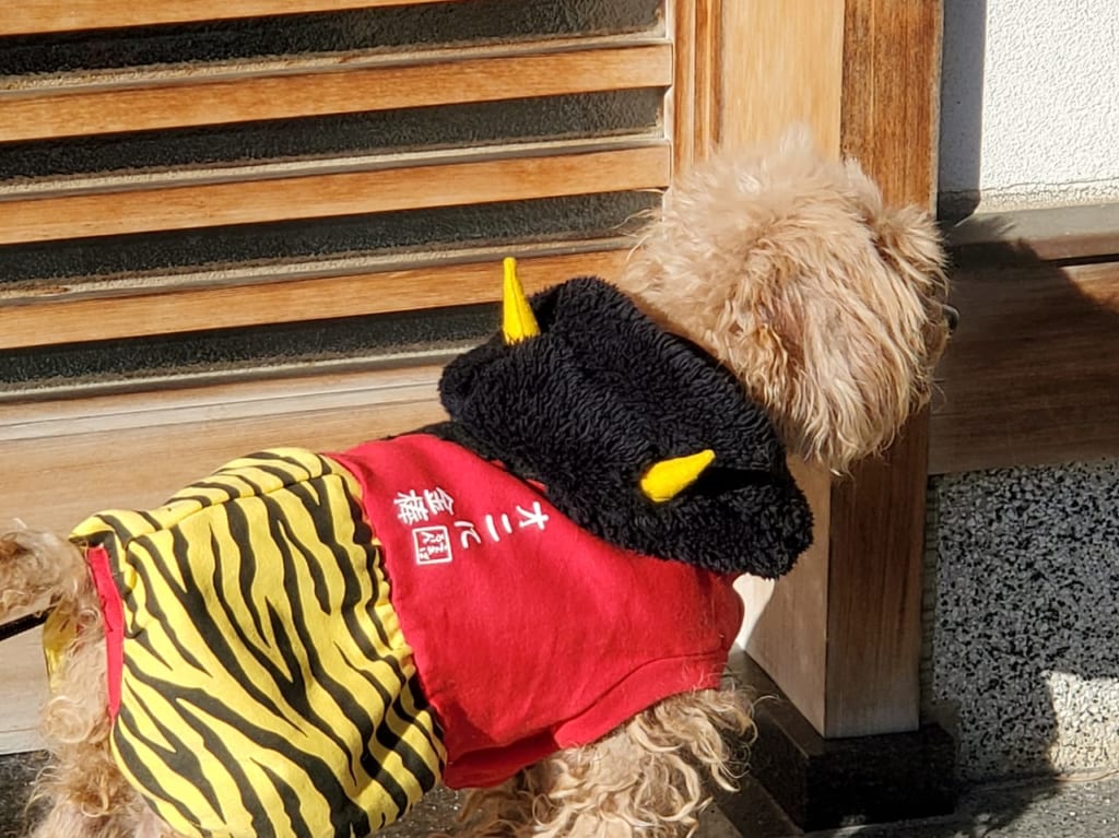 ミミ