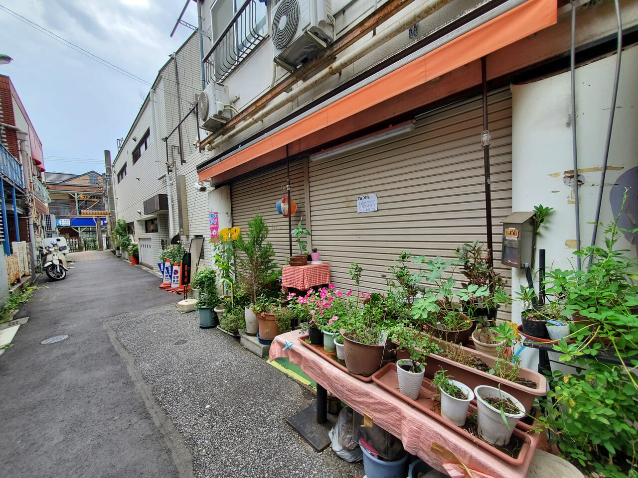 店