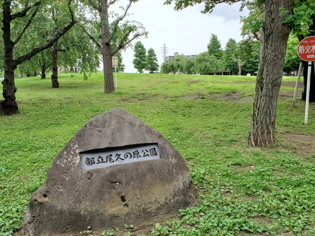 公園