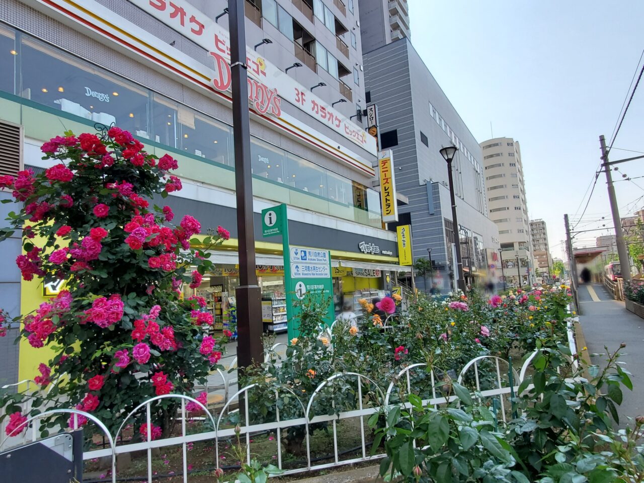バラ