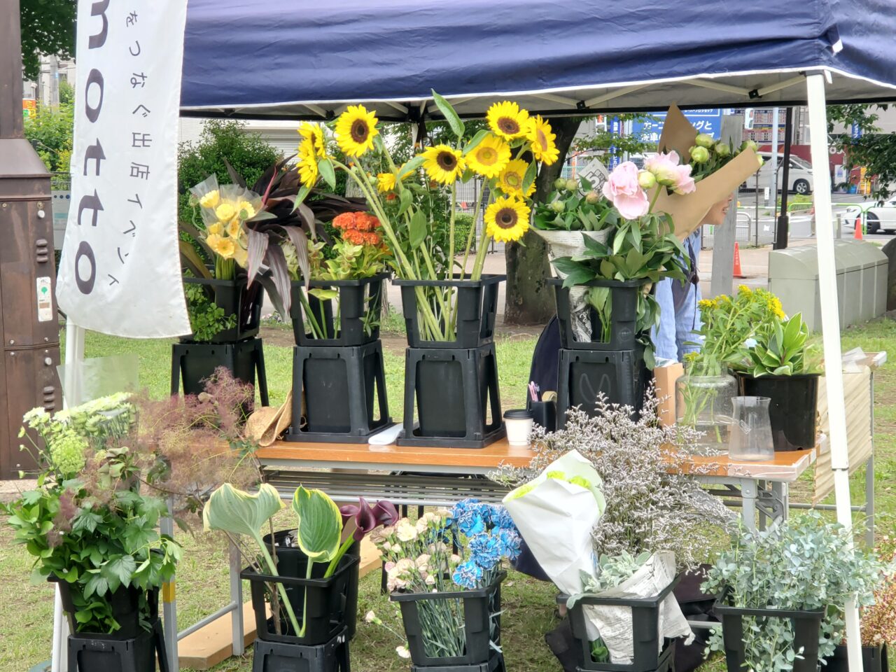 花