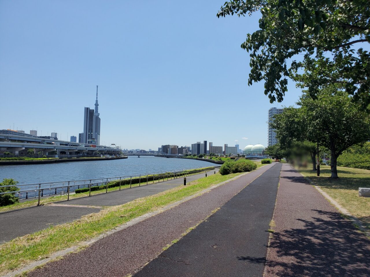 公園