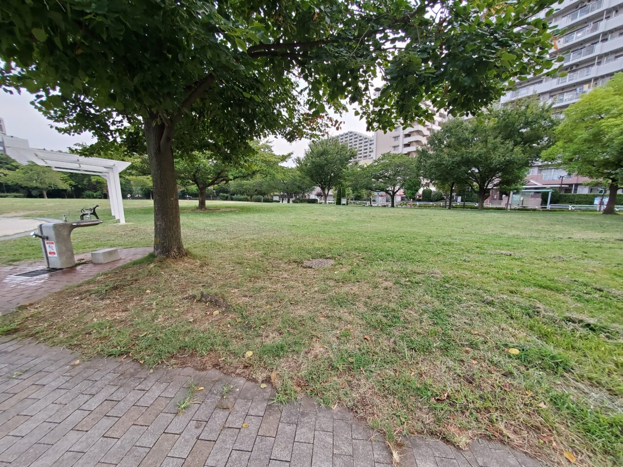 汐入公園