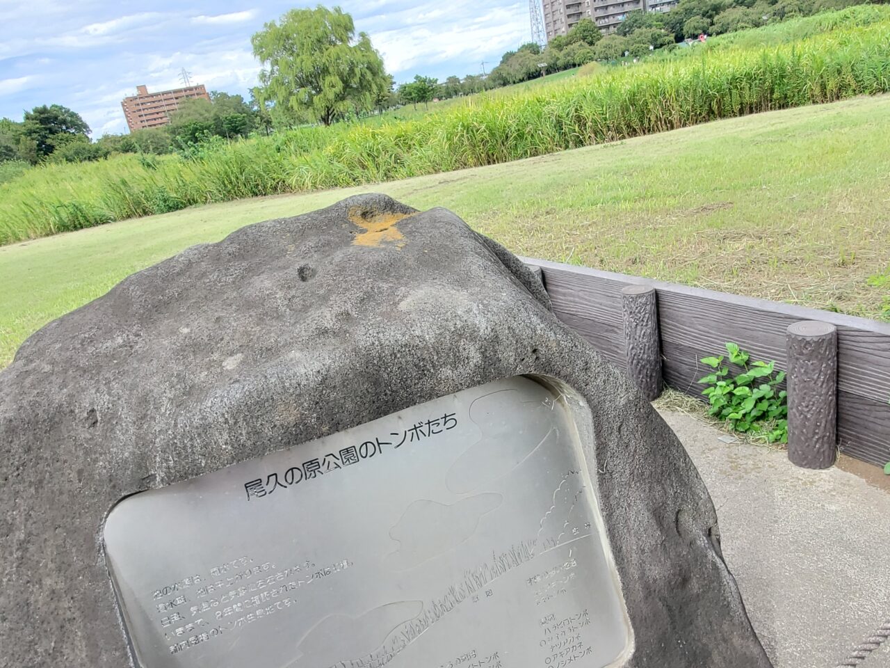 公園