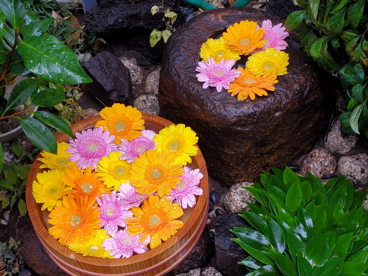 花