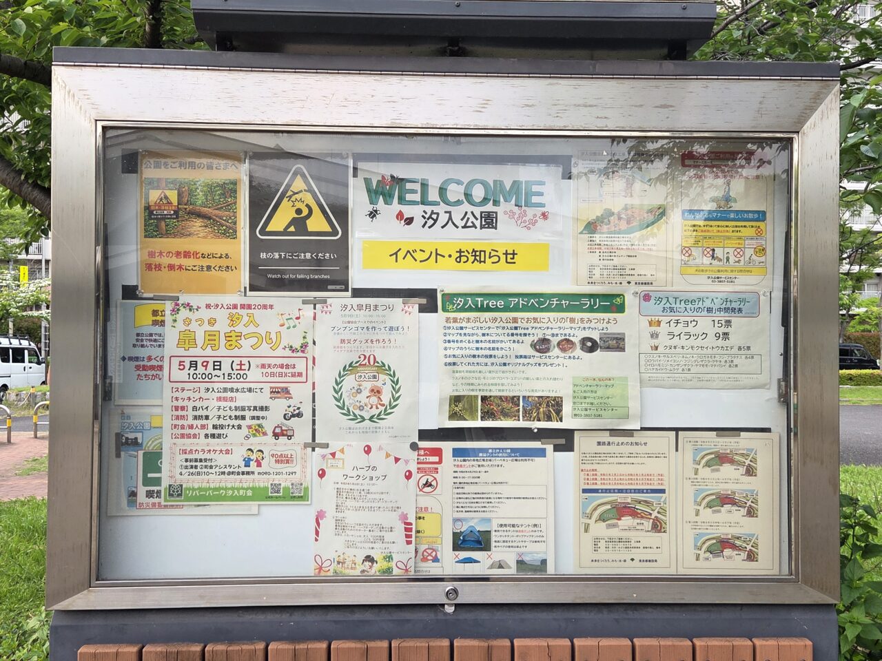 公園