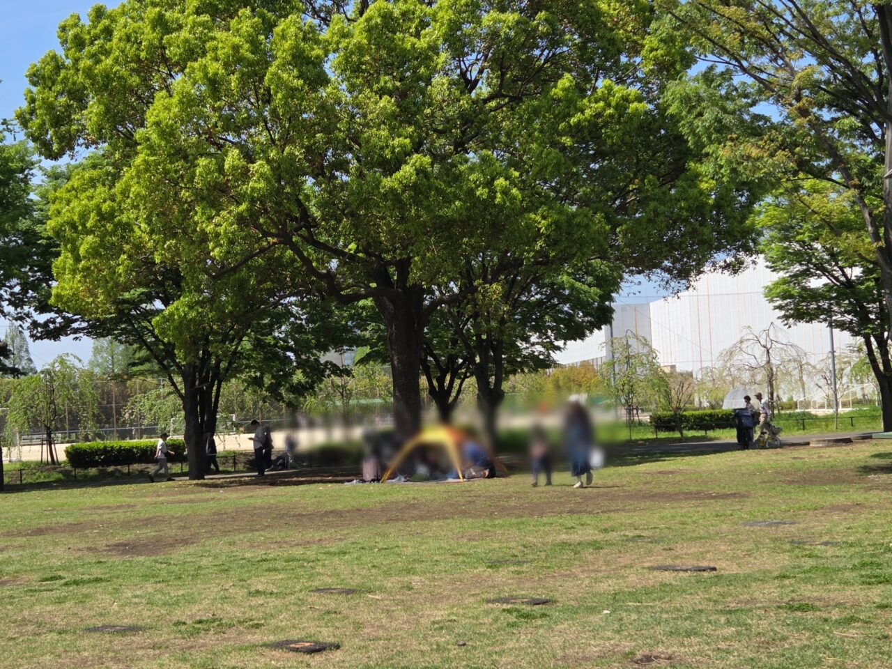 公園