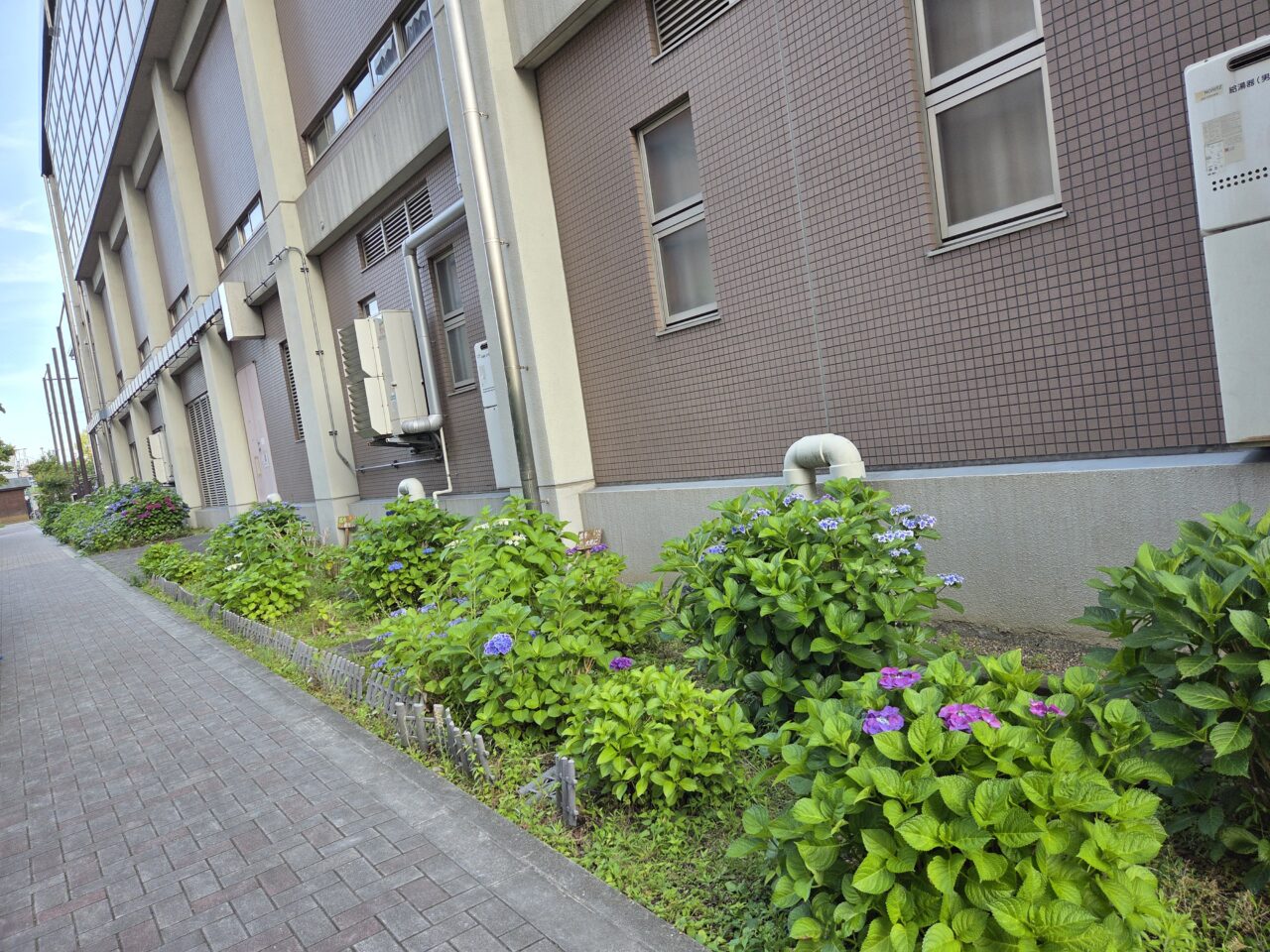 学校