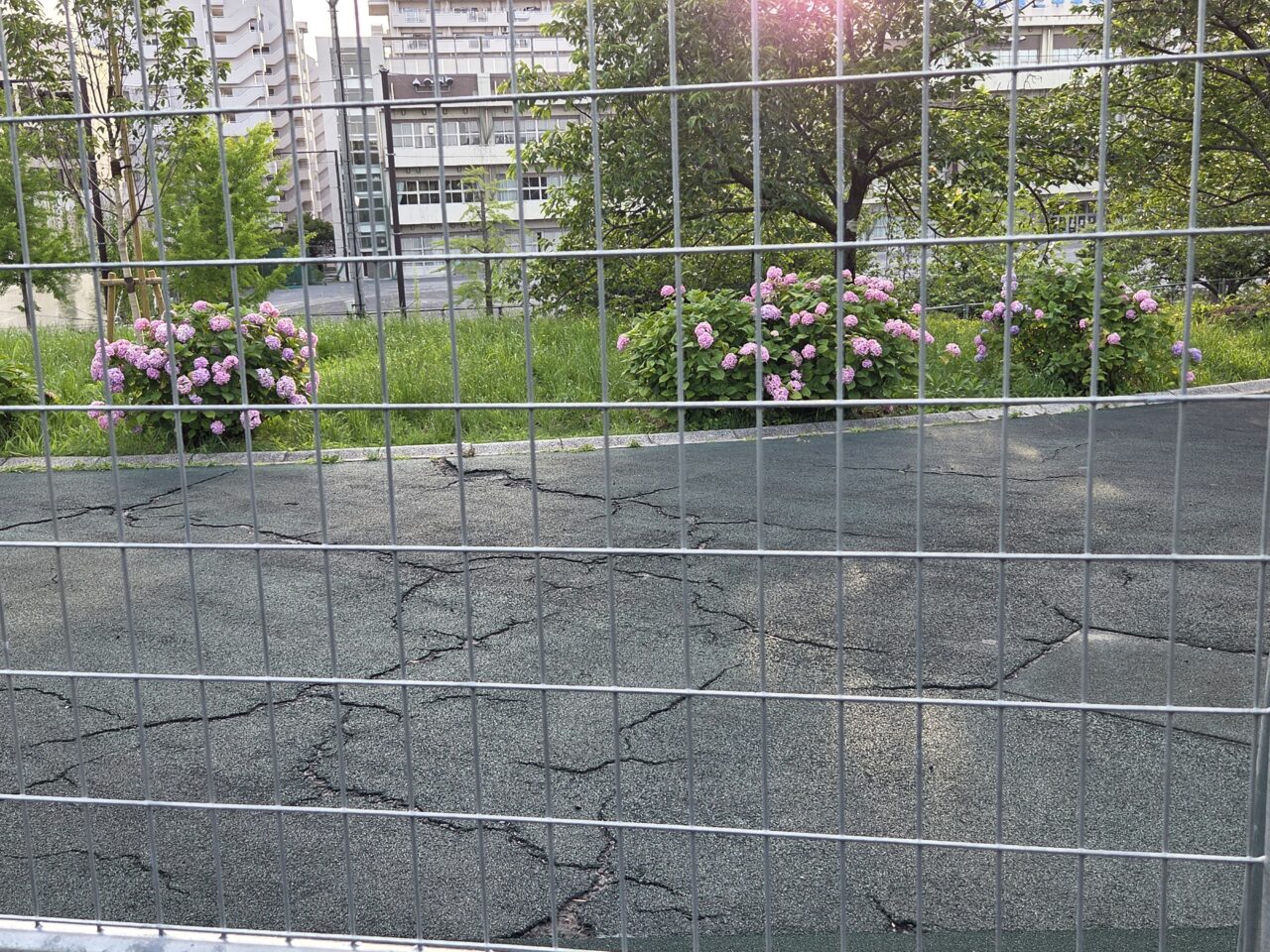 公園
