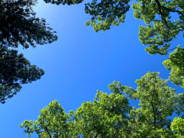 空