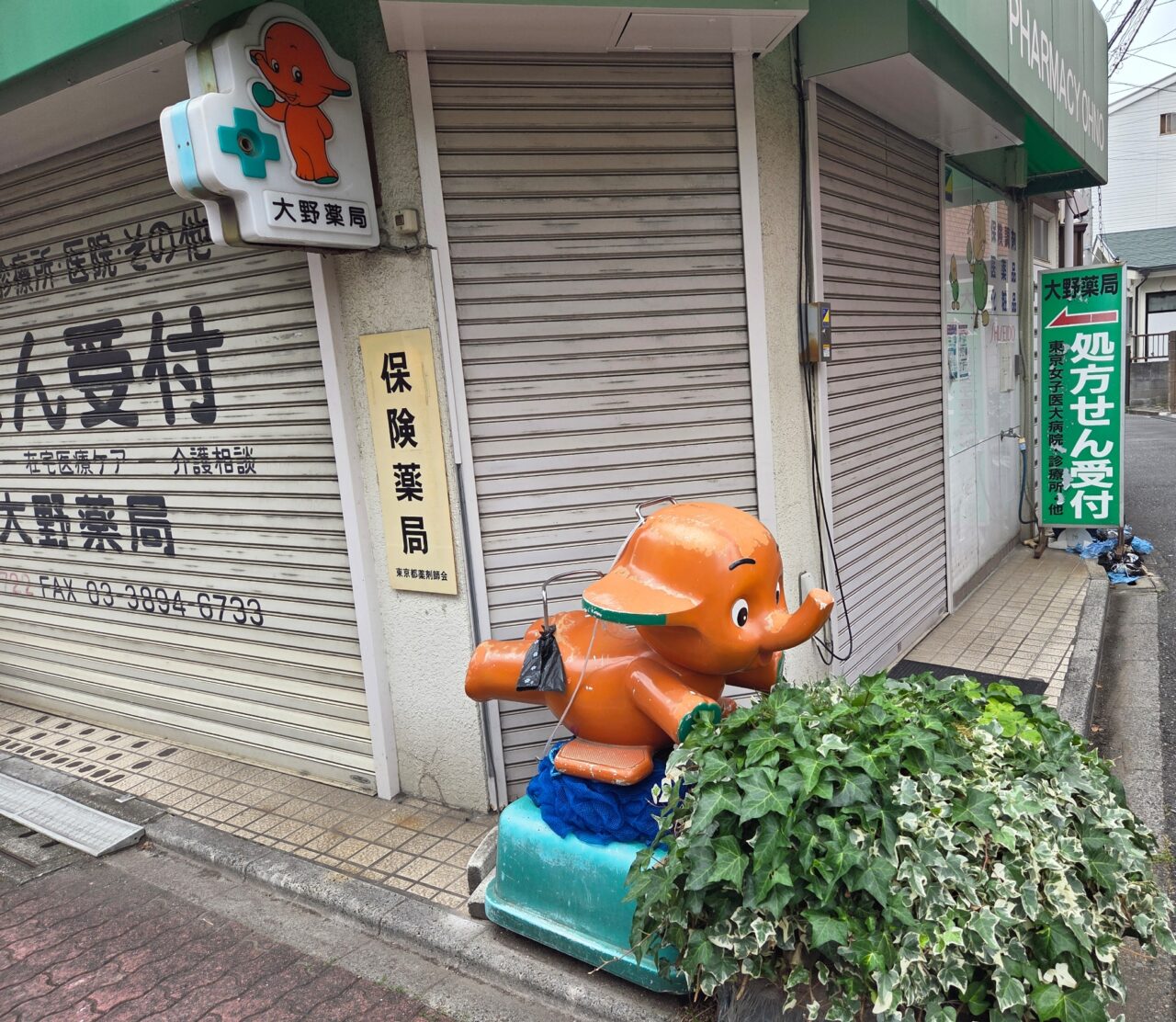 さとちゃん