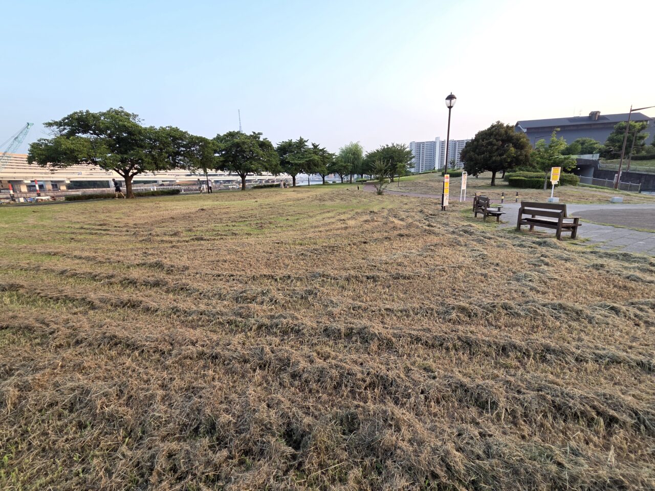 公園