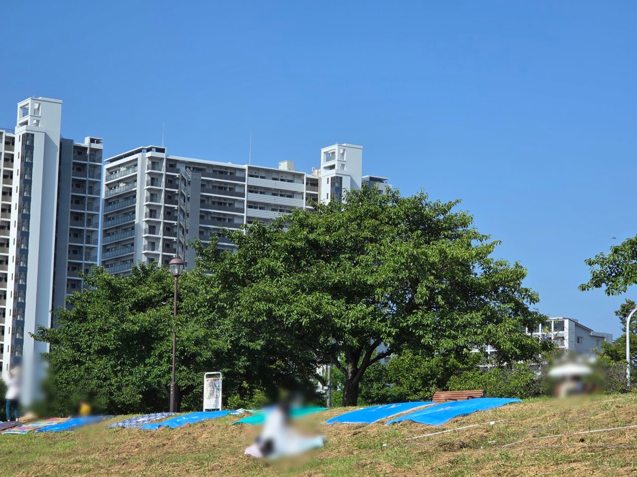 公園