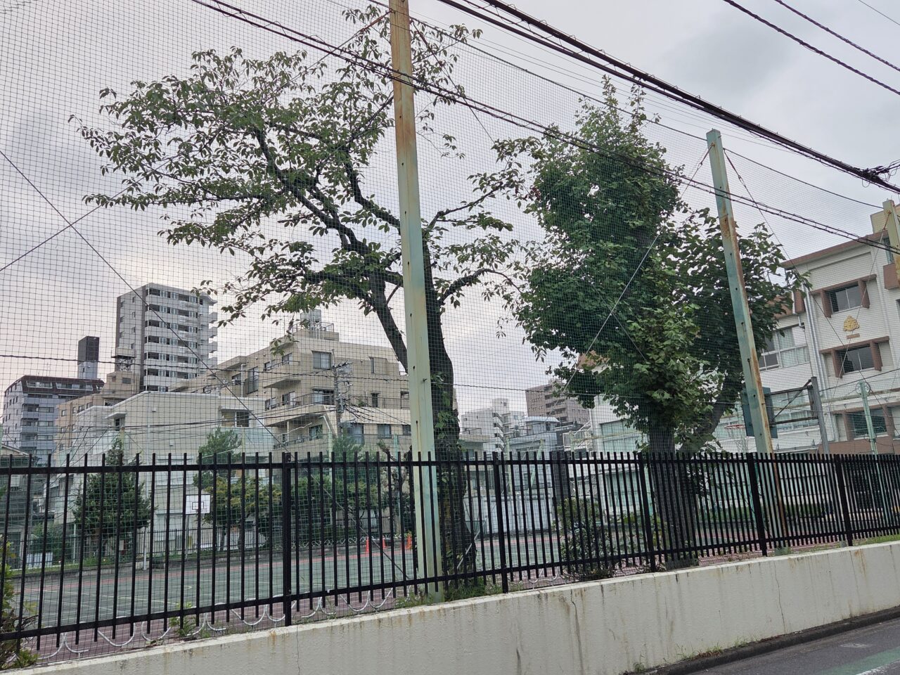 学校
