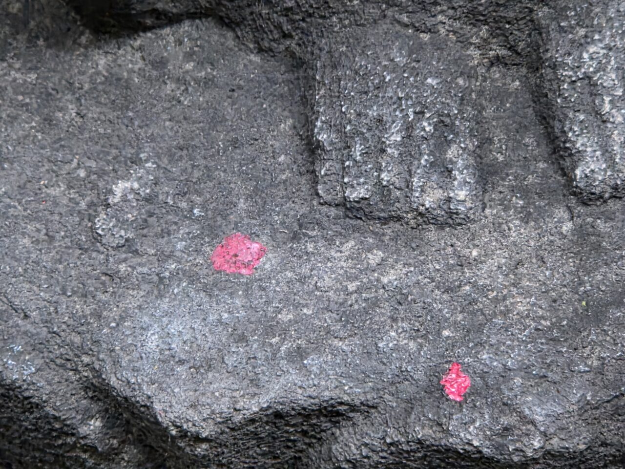 紅